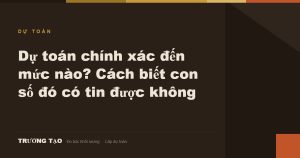 Ảnh bìa bài viết: Dự toán chính xác đến mức nào? Cách biết con số đó có tin được không — Trường Tạo